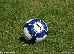 里萨,谢豪独得,老鹰战胜雄,皇冠体育,CROWN,SPORTS,皇冠体育注册网址,皇冠体育app,皇冠体育官网,皇冠体育网站,皇冠体育下载